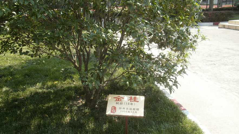 志誠